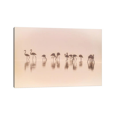 Flamingos in the Mist by Jeffrey C. Sink - 1 Piece Wrapped Canvas Wall Art
