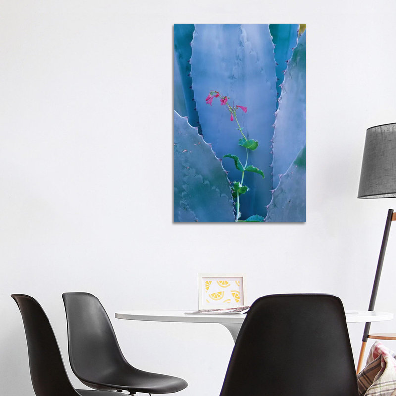 Agave And Parry's Penstemon Close Up, North America I by Tim Fitzharris - Wrapped Canvas Print