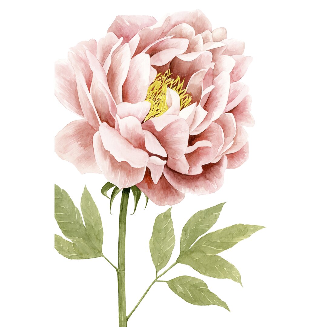 Leinwandbild Peony I von Grace Popp