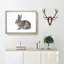 Brown Bunny Rabbit Painting - Single Picture Frame Print on MDF-56633423-56633422