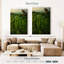 Gillard Mossy Vietnam Gillard-108397233