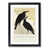 Black Framed selected