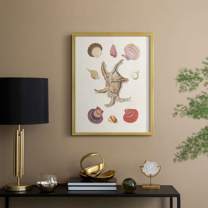 Knorr Shells & Coral II, reproduction encadrée - bois massif, H 21 po x l 17 po, Doré