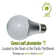 60 Watt Equivalent A19 5000K LED Bulb