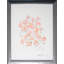 Flowers From The Garden 3 Print by Robert Robinson