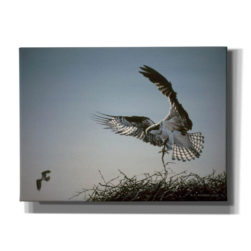 Nest Builder par Ron Parker, H 40 po x l 54 po x P 1,5 po
