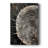 ABSTRACT Series CLIII -Custom Wrapped Gallery Cavas