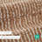 100% Cotton Pinstripe Bath Mats-468966680-468966687