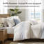 Morgan Cotton Jaquard Striped Duvet Cover Set-98222607-126043441