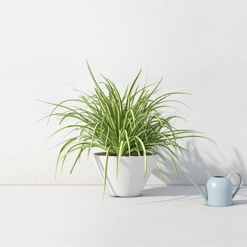 Neo Handmade Pot Planter, 11.5" H x 20.5" W x 20.5" D, White