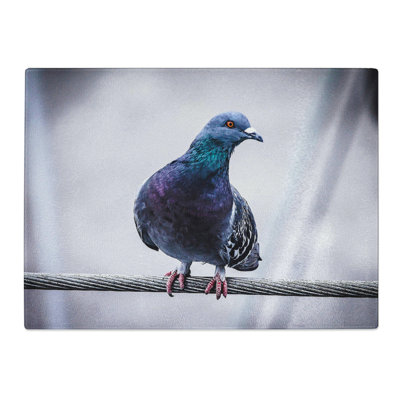Pigeon Bird Art  Glass Chopping Board