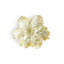 Tulip Catch All-331926314