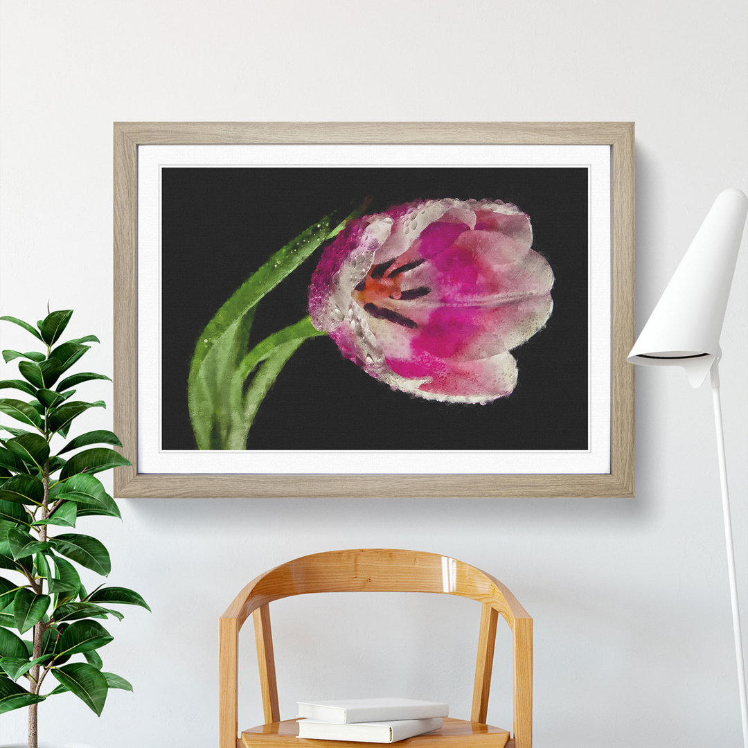 Pink Tulip - Single Picture Frame Print on MDF