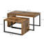 Arbela Frame Nesting Coffee Table