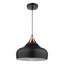 Nataly 1 - Light Dome Pendant-33681009