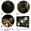 Asian Art Tigers In Jungle II, reproduction d'art sur toile-1804764796-1804764799