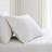 Martha Stewart Lilly Pond Leaf Embroidered Cotton Sheet Set-119136828-119136815
