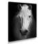 Cheval, reproduction d'art sur toile, cheval noir et blanc-1375218642-1375753395-1423470403
