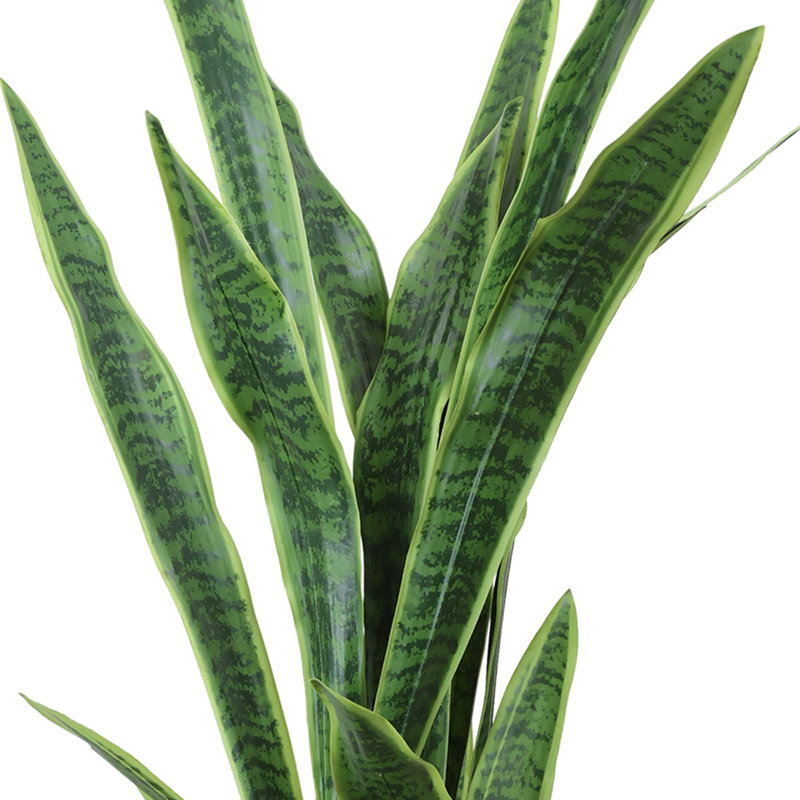 Jardinière en céramique avec pieds Snake Plant