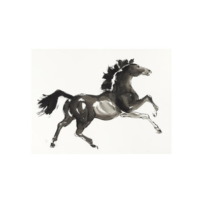 Horse H5 Print by Chris Paschke