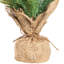 Décoration de Noël 10,5 "pin en base de jute naturelle