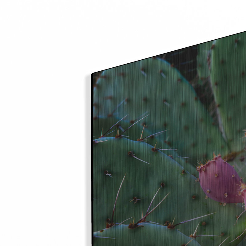 «Pink Cactus» par Dennis Frates, art mural en métal, 16 po x 12 po, H 16 po x l 24 po