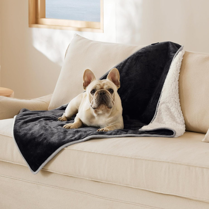 Couverture en flanelle pour animaux, 30 po x 40 po, Noir