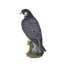 Brown Peregrine Falcon on branch | Handcrafted Decorative Bird Statue for Home & Garden | Premium Polyresin, Weather-Resistant Indoor/Outdoor Indoor/Outdoor Decor