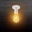 Flush Mount Light Semi Flush Mount-116128762