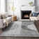 Premium Machine Washable Prisco Charcoal Rug