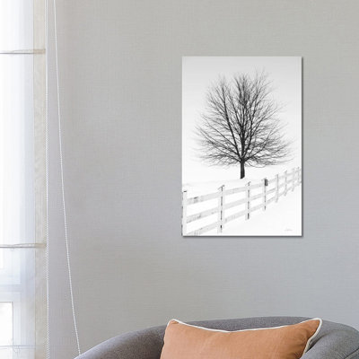 Along the Lane III 1 Piece Wrapped Canvas Wall Art