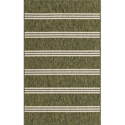 Striped Indoor / Outdoor Area Rug