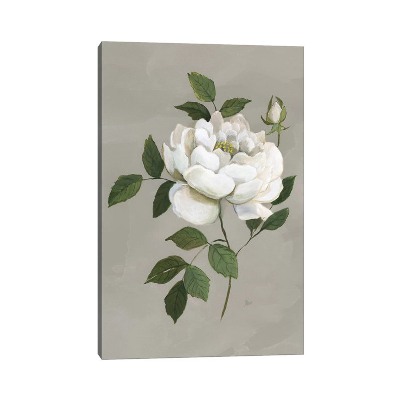 Botanical Rose by Nan - Print on Canvas, Wrapped Canvas, 20.32 cm H x 30.48 cm W