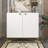 2-Door Storage Accent Cabinet-1798379975