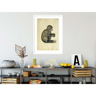 «A Monkey» par Albrecht Dürer, impression giclée sur cadre