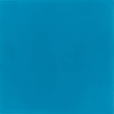 8 in. x 8 in. Honed Tile
