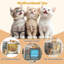 Enceinte de litière pour chat avec lumière DEL RVB-101185028