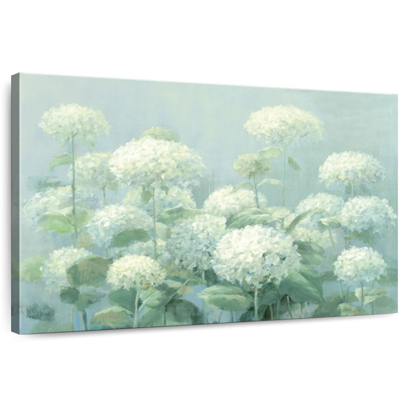Hortensia blanc sauge de jardin II, H 20 po x l 30 po