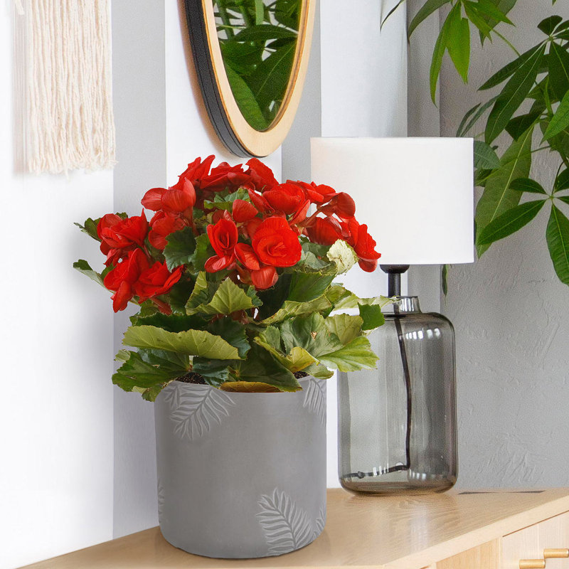 Leaf Embossed Hanging Cylinder Round Planter