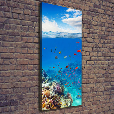 Coral Reef - Wrapped Canvas Print