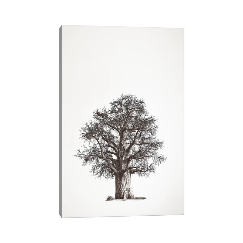Baobab Legacy II 1 Piece Wrapped Canvas Wall Art, 66.04 cm H x 45.72 cm W x 3.175 cm D