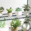 4 Ft W x 2 Ft D Mini Greenhouse