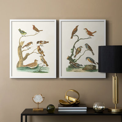 Oiseaux antiques dans la nature III - reproduction encadrée de qualité supérieure - prête à être accrochée - aucun clou requis - aucun clou requis
