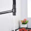 Belfry Kitchen Armana Kitchen Faucet