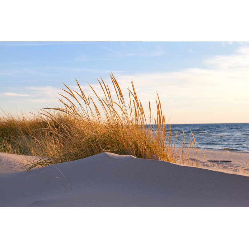 Autumn Dune Grass by Csterken - Wrapped Canvas Print, 30cm H x 46cm W x 3.8cm D