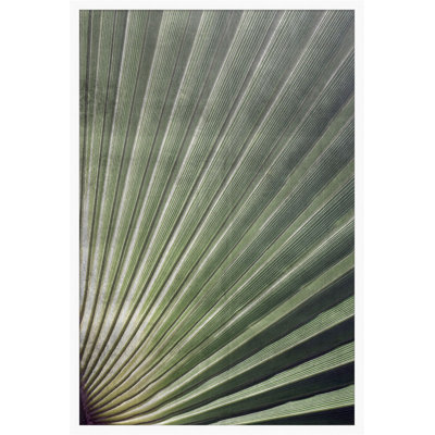 Silver Palmetto 2 Print by Lillian August
