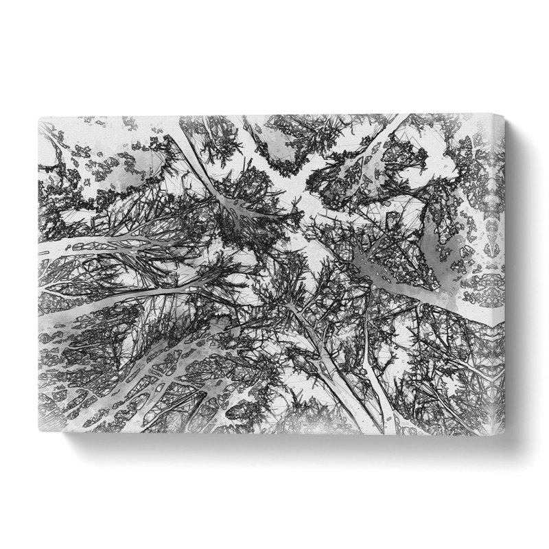 Vaulted Tree Branches - Wrapped Canvas, 40 cm H x 60 cm W