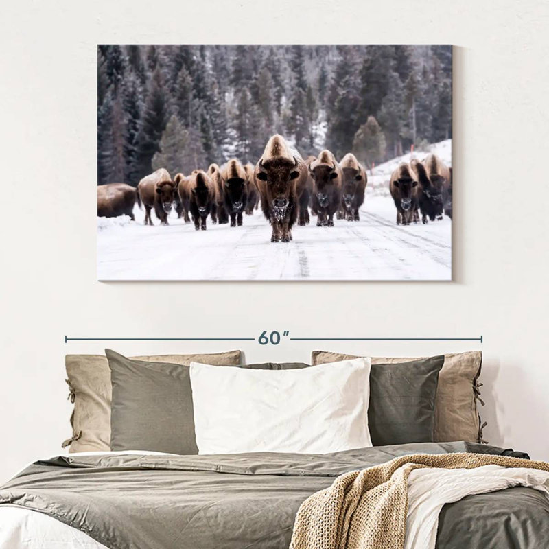 Bison Herd in Winter - reproduction d'art sur toile tendue, H 34 po x l 51 po x P 1,25 po