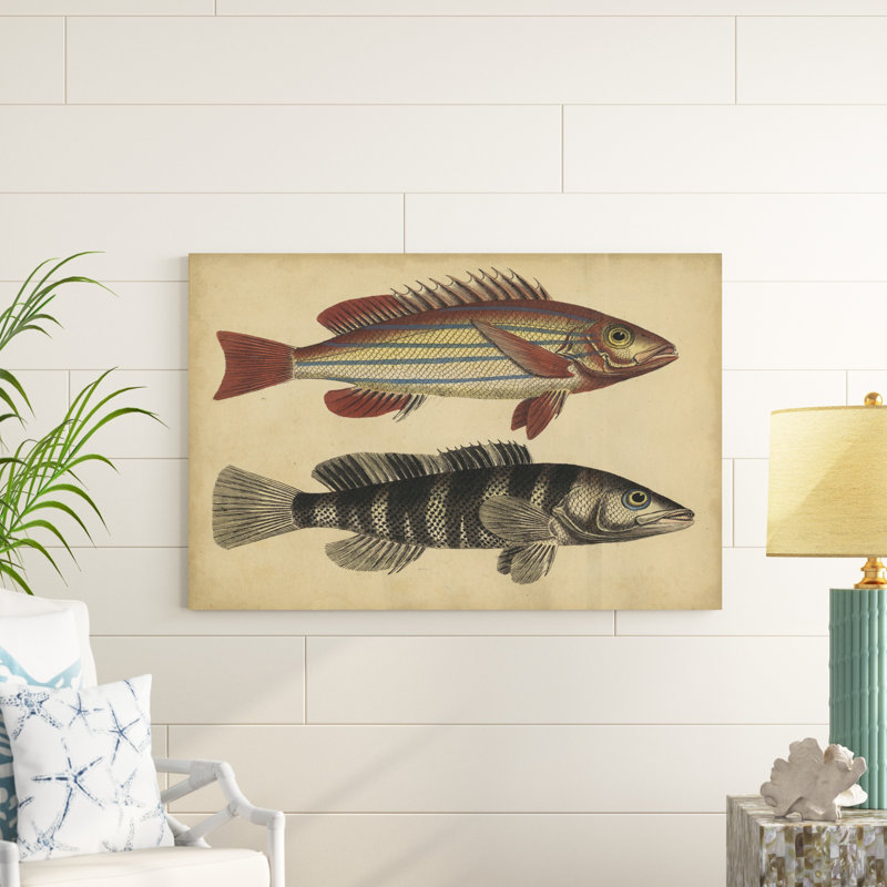 Espèces de poissons III, H 32 po x l 48 po x P 1,25 po