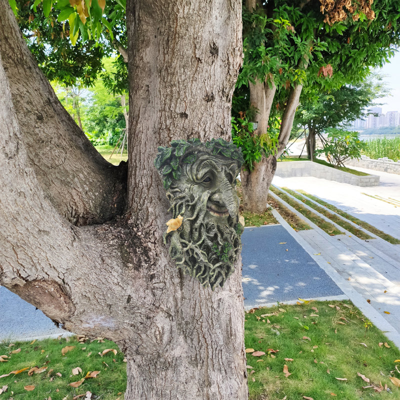 Arbre en plein air